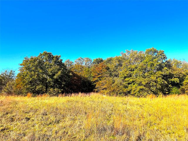 1849 Two Bush Road, Perrin, TX 76486