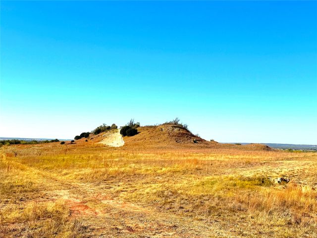 1849 Two Bush Road, Perrin, TX 76486