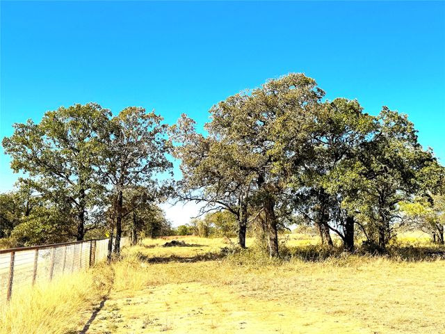 1849 Two Bush Road, Perrin, TX 76486