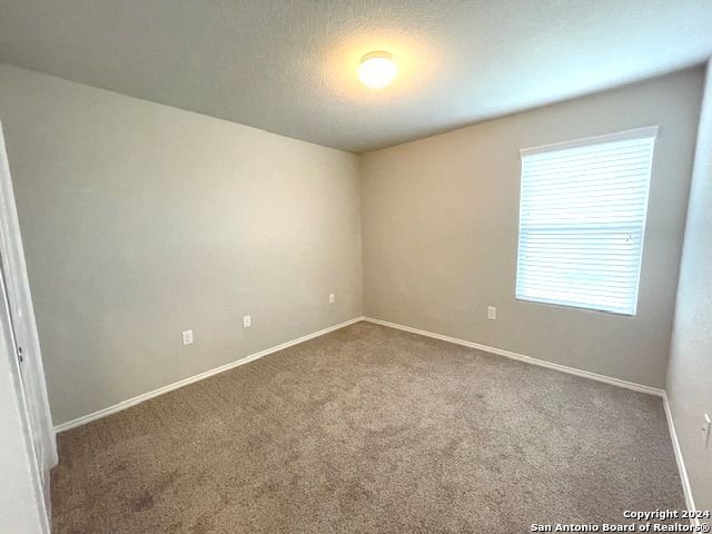 2966 Daisy Meadow, New Braunfels, TX 78130