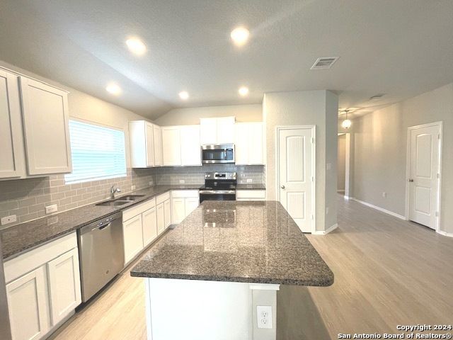 2966 Daisy Meadow, New Braunfels, TX 78130