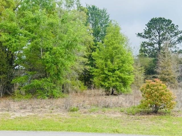 SW 83RD STREET, Dunnellon, FL 34431