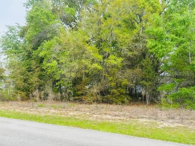 SW 83RD STREET, Dunnellon, FL 34431