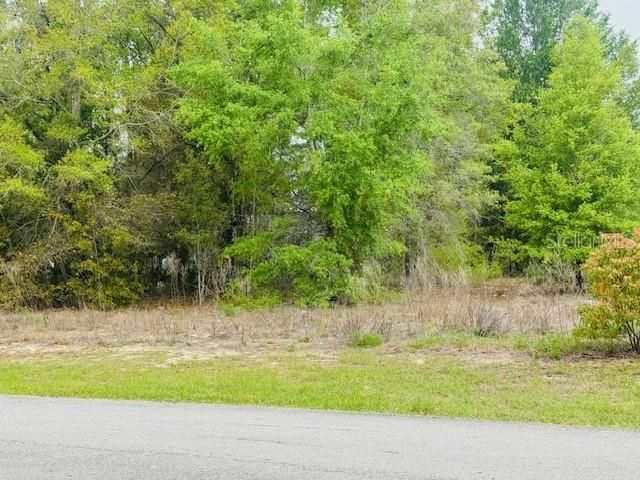 SW 83RD STREET, Dunnellon, FL 34431