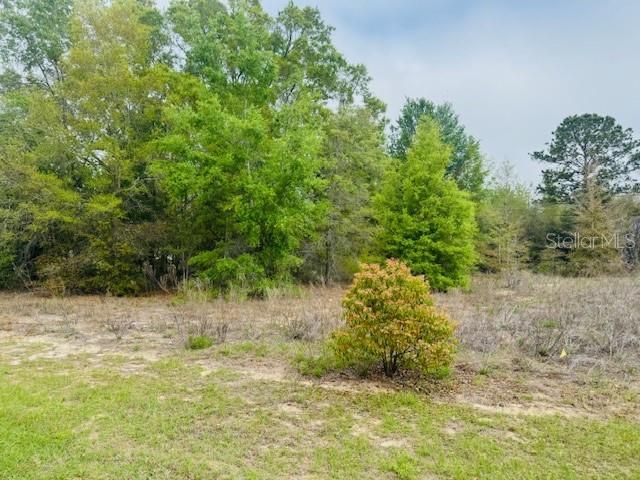 SW 83RD STREET, Dunnellon, FL 34431