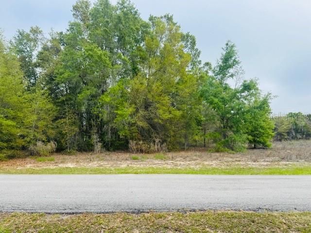 SW 83RD STREET, Dunnellon, FL 34431