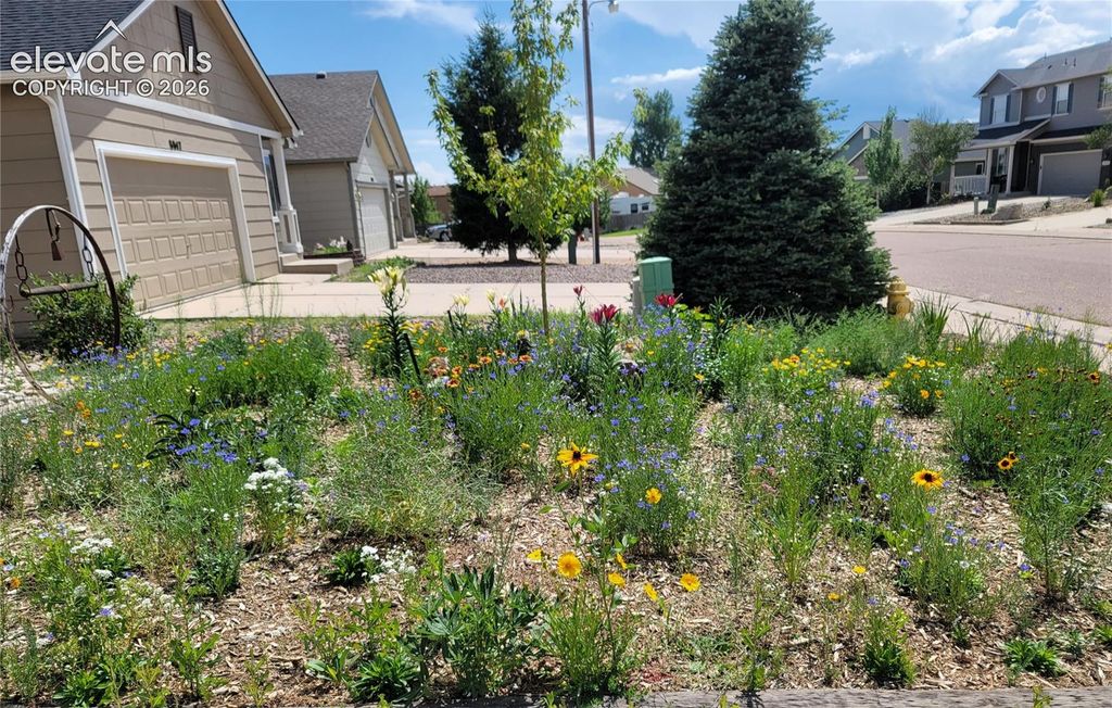 8059 Oliver Road, Falcon, CO 80831 — photo 2