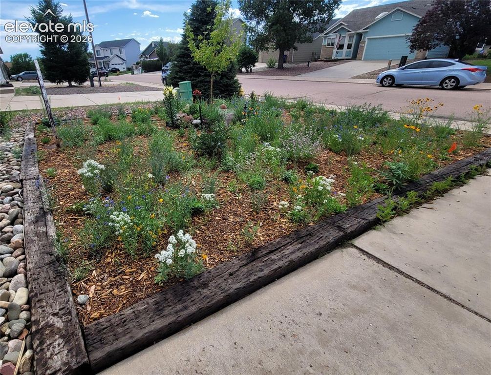 8059 Oliver Road, Falcon, CO 80831 — photo 3