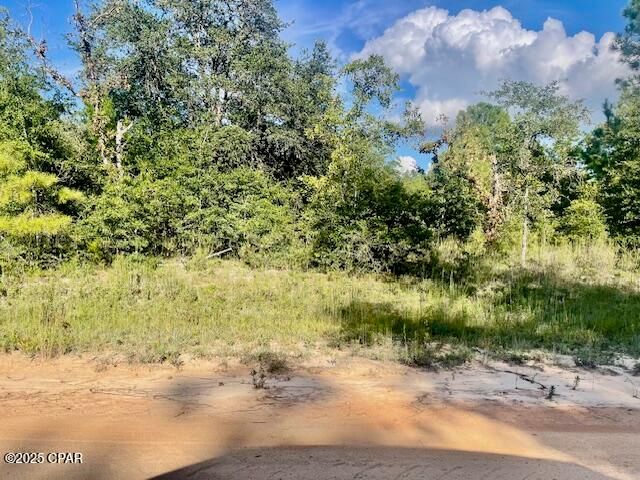 A Nezperce Drive, Alford, FL 32420