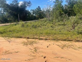 A Nezperce Drive, Alford, FL 32420