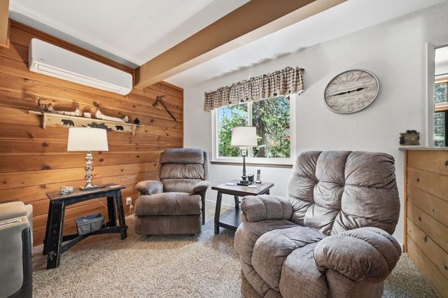 20516 E Pine Dr, Pioneer, CA 95666
