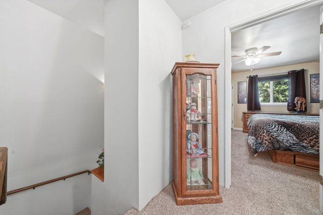 20516 E Pine Dr, Pioneer, CA 95666