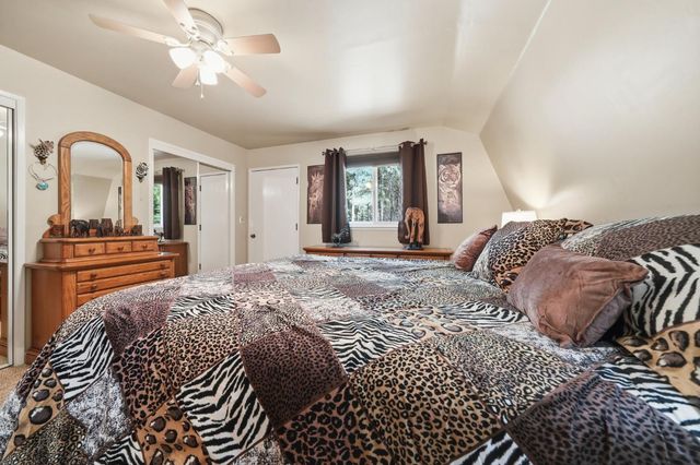 20516 E Pine Dr, Pioneer, CA 95666