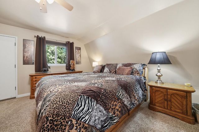 20516 E Pine Dr, Pioneer, CA 95666