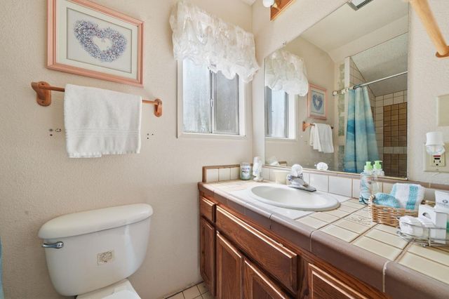20516 E Pine Dr, Pioneer, CA 95666