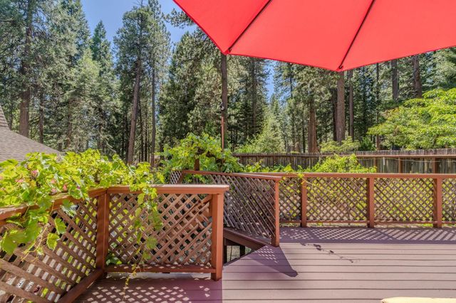 20516 E Pine Dr, Pioneer, CA 95666