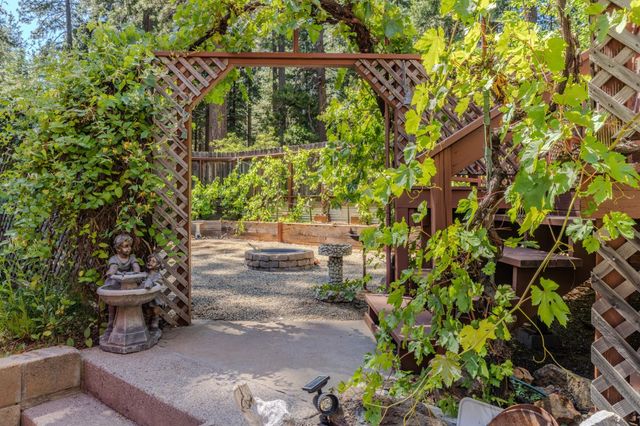 20516 E Pine Dr, Pioneer, CA 95666