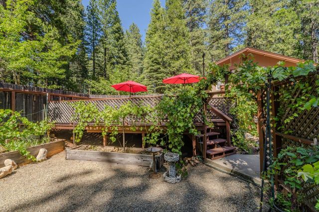 20516 E Pine Dr, Pioneer, CA 95666