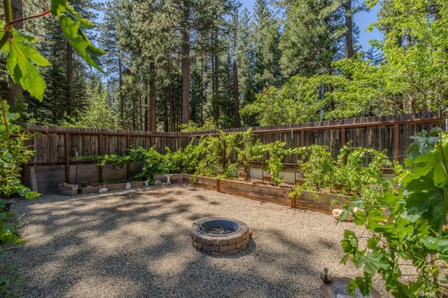 20516 E Pine Dr, Pioneer, CA 95666