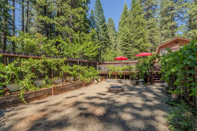 20516 E Pine Dr, Pioneer, CA 95666