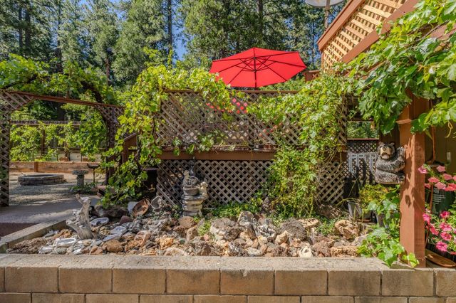 20516 E Pine Dr, Pioneer, CA 95666