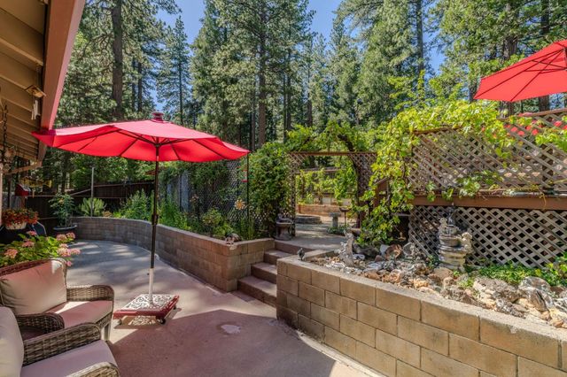 20516 E Pine Dr, Pioneer, CA 95666