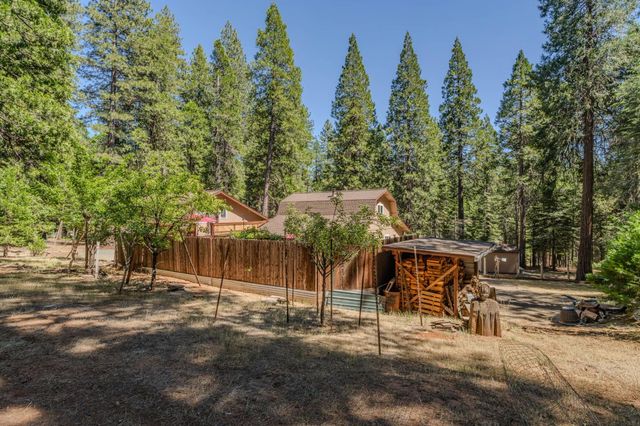 20516 E Pine Dr, Pioneer, CA 95666