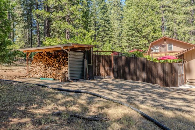 20516 E Pine Dr, Pioneer, CA 95666