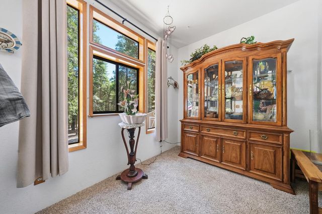 20516 E Pine Dr, Pioneer, CA 95666