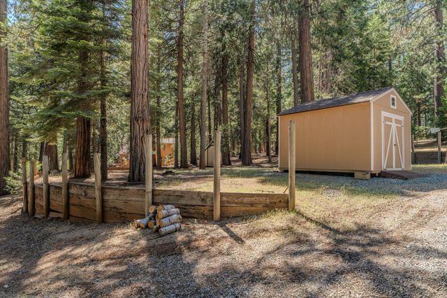 20516 E Pine Dr, Pioneer, CA 95666