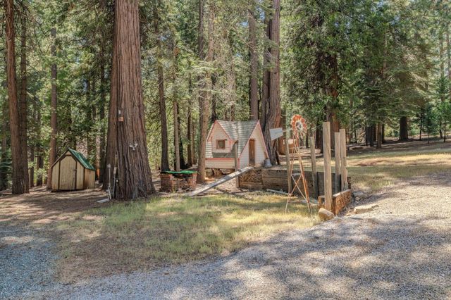 20516 E Pine Dr, Pioneer, CA 95666