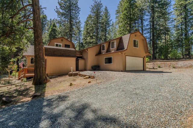 20516 E Pine Dr, Pioneer, CA 95666