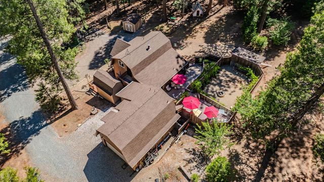 20516 E Pine Dr, Pioneer, CA 95666