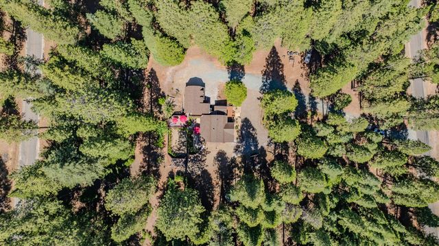 20516 E Pine Dr, Pioneer, CA 95666
