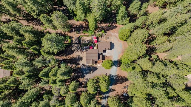 20516 E Pine Dr, Pioneer, CA 95666