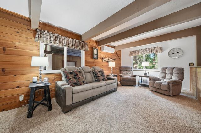 20516 E Pine Dr, Pioneer, CA 95666
