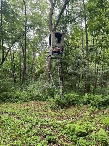 W25757 Bear Coulee ROAD, Trempealeau, WI 54661