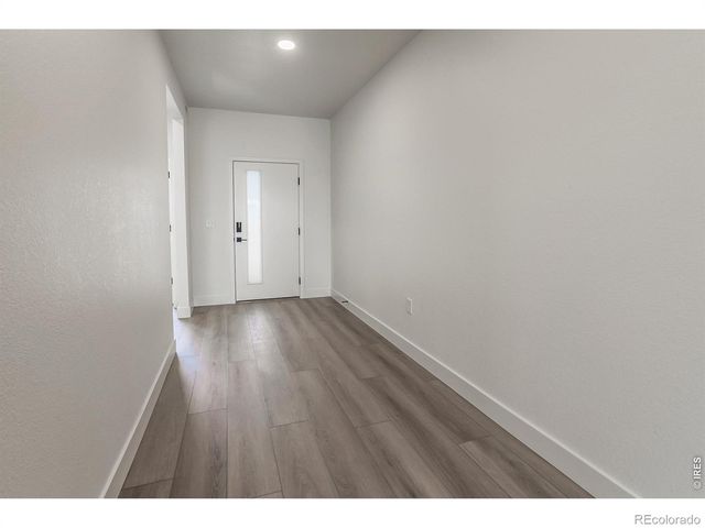 734 Trumpet Court, Windsor, CO 80550