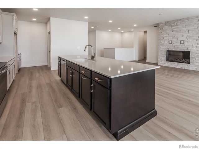 734 Trumpet Court, Windsor, CO 80550