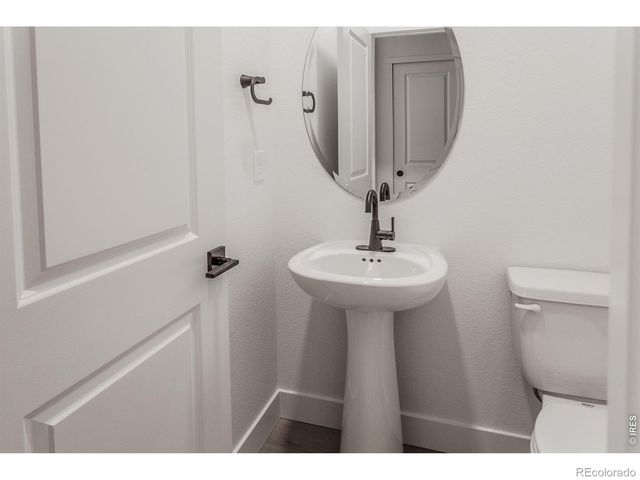 734 Trumpet Court, Windsor, CO 80550