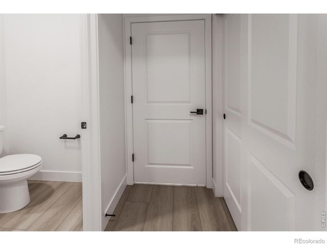 734 Trumpet Court, Windsor, CO 80550