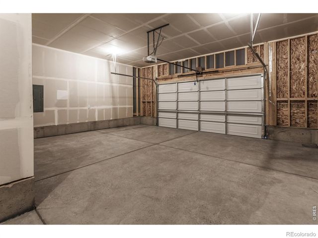 734 Trumpet Court, Windsor, CO 80550