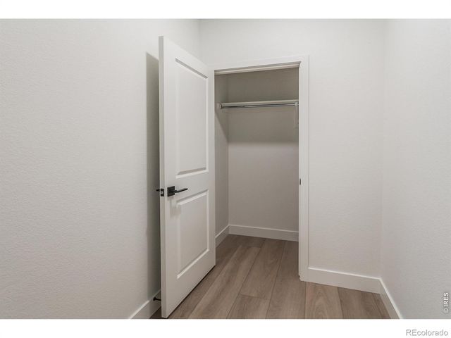 734 Trumpet Court, Windsor, CO 80550