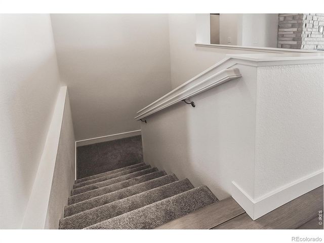734 Trumpet Court, Windsor, CO 80550