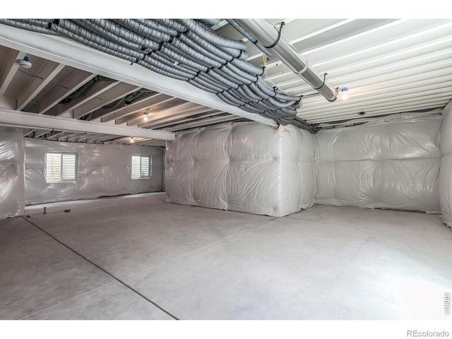 734 Trumpet Court, Windsor, CO 80550