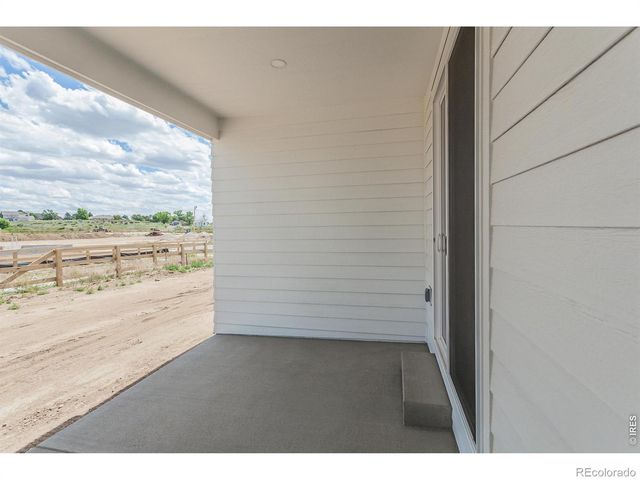 734 Trumpet Court, Windsor, CO 80550