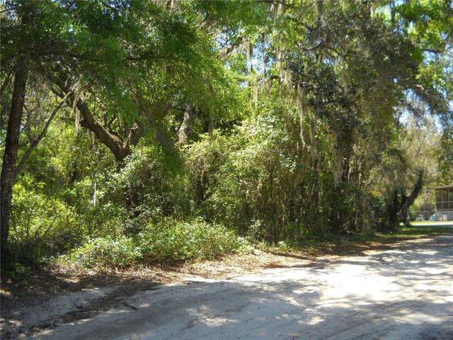 00 NE 161 STREET, Citra, FL 32113