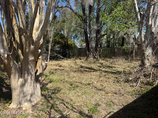 2237 ALDERNEY Court, Middleburg, FL 32068