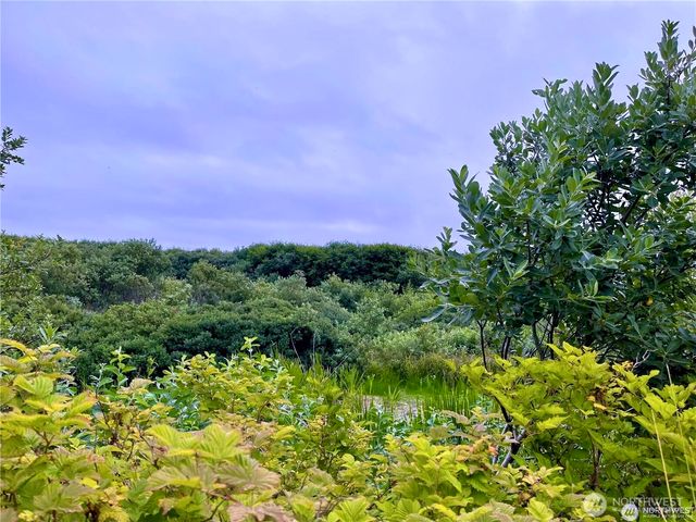 10 Ocean Lane, Ocean Shores, WA 98569