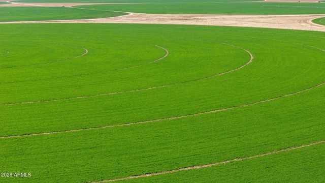 6988 S WILSON Drive, Chandler, AZ 85249